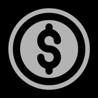 Coin Icon